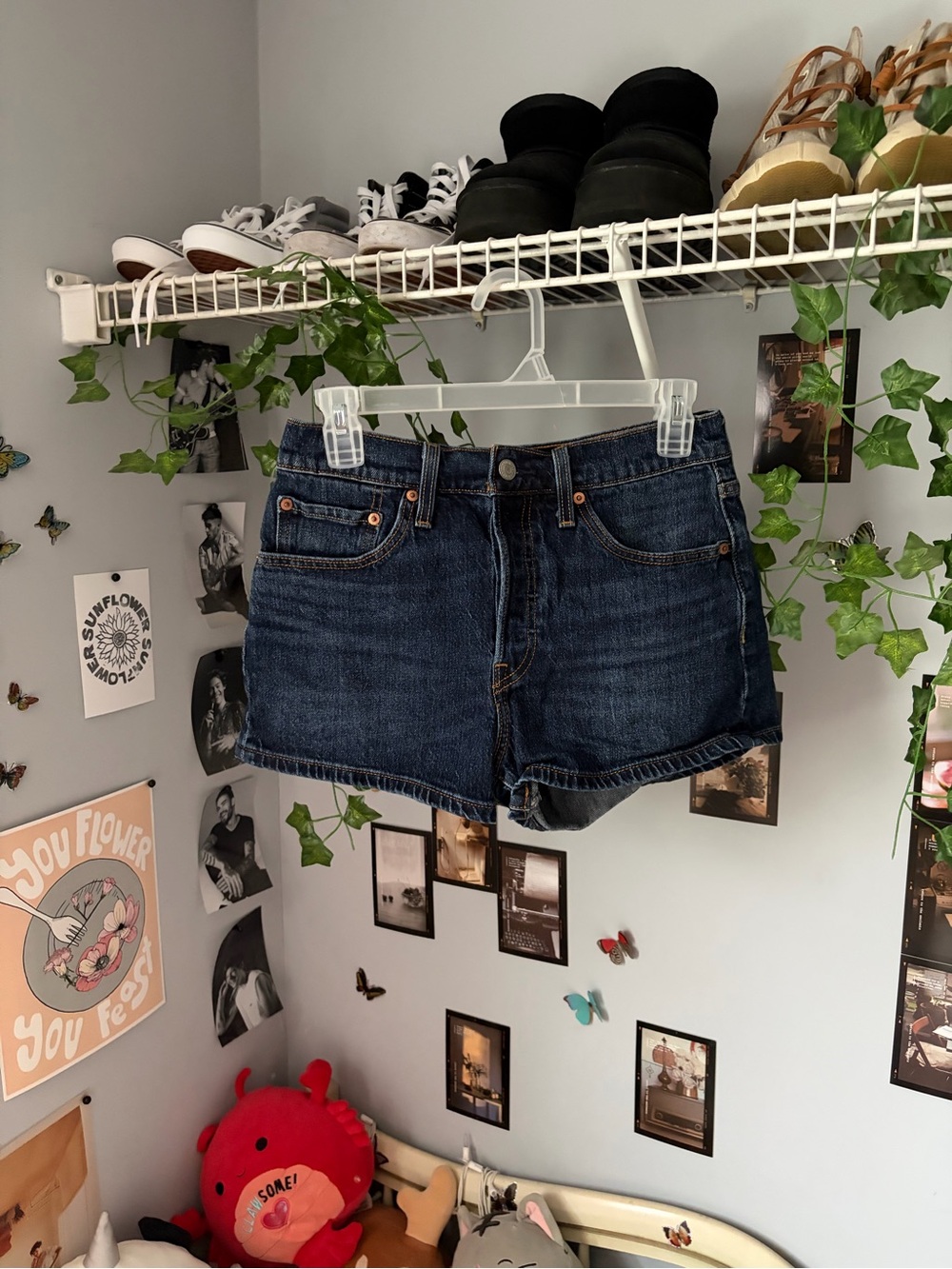 Levi’s Jean Shorts